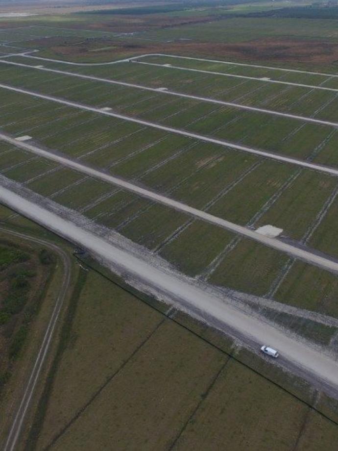 Solar farm development